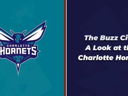 The Buzz City: A Look at the Charlotte Hornets