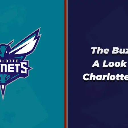 The Buzz City: A Look at the Charlotte Hornets